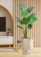 Nettenevime Yapay Ağacı Dore 57cm Uzun Kumsal Vazoda Muz Ağacı Yapay Starliçe 195cm 10 Yaprak - 2