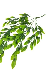 Nettenevime Yapay Çiçek Sarkan Fejka 60cm 5Dallı ty122 Yapay Sarmaşık Yeşil thumbnail 4