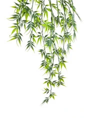 Yapay Çiçek Sarkan Bambu Yapraklı Bitki Küçük Siyah Saksıda Yapay Sarmaşık 65cm thumbnail 2