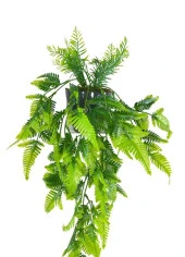 Nettenevime Yapay Çiçek Sarkan Boston Fern Yapraklı Bitki Küçük Siyah Saksıda Yapay Sarmaşık 55cm thumbnail 5