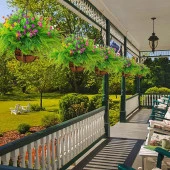 Nettenevime Yapay Çiçek Sarkaç Askılı Makreme Sepette Renkli Mineli Şimşir Ve Boston Yeşillik Çiçek Sepeti thumbnail 4