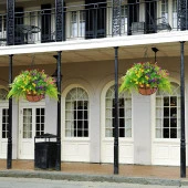 Nettenevime Yapay Çiçek Sarkaç Askılı Makreme Sepette Renkli Mineli Şimşir Ve Boston Yeşillik Çiçek Sepeti thumbnail 5