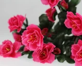 Nettenevime Yapay Çiçek Fuşya Pembe  Açelya Demeti 7 Dallı 33*20cm thumbnail 2