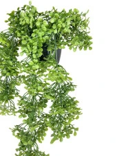Nettenevime Yapay Çiçek Saksıda Sarkan Yeşil Fare Kulağı Şimşir Yapay Sarmaşık Pastel 50cm thumbnail 5