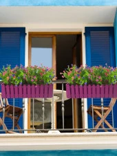 Nettenevime Yapay Çiçek Mor Çit Balkon Saksısı Renkli Mineli Şimşir Çiçekli 55*35cm thumbnail 6