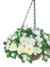 Nettenevime Yapay Çiçek Sarkaç Askılı Makreme Sepette Açelya Beyaz Çiçek Sepeti thumbnail 4