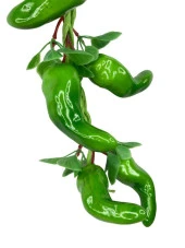 Nettenevime Yapay Yeşil Biber Salkımı Süs Sahte Biber Yapay Meyve Sebze thumbnail 3