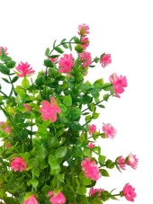 Nettenevime Yapay Çiçek Siyah Saksıda Pembe Mineli Şimşir Ağacı 55cm thumbnail 6