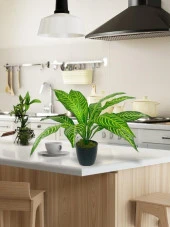 Yapay Çiçek Drecana Yukka 12yaprak Salon Çiçeği Plastik Siyah Saksılı Yapay Bitki - 5