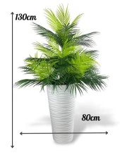 Nettenevime Yapay Çiçek Areka Salon Bitkisi Beyaz Uzun Kumsal Vazoda 130cm 45Yaprak - 2