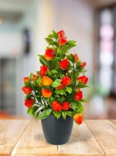 Yapay Çiçek Çilek Ağacı Siyah Saksıda Çilek 30cm - 1