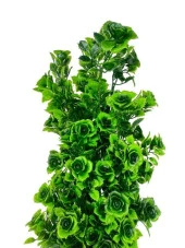 Nettenevime Yapay Çiçek Siyah Saksıda Güllü Yeşil Şimşir Ağacı 55cm thumbnail 4