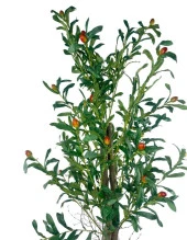 Nettenevime Yapay Zeytin Ağacı 125cm İki Gövdeli Salex Doğal Gerçek Görünümlü Yapay Ağaç thumbnail 7