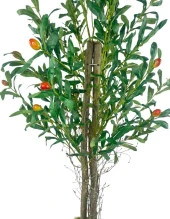 Nettenevime Yapay Zeytin Ağacı 125cm İki Gövdeli Salex Doğal Gerçek Görünümlü Yapay Ağaç thumbnail 9