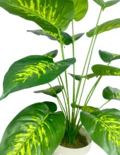 Nettenevime Yapay Çiçek Difenbahya Tropik Salon Çiçeği Beyaz Saksılı Yapay Bitki - 6