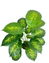 Nettenevime Yapay Çiçek Difenbahya Tropik Salon Çiçeği Beyaz Saksılı Yapay Bitki - 7