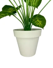 Nettenevime Yapay Çiçek Difenbahya Tropik Salon Çiçeği Beyaz Saksılı Yapay Bitki - 8