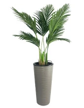 Nettenevime Yapay Areka Palmiye Ağacı Dore Kumsal Vazoda Yapay Ağaç 150cm 10 Yaprak thumbnail 1