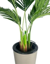 Nettenevime Yapay Areka Palmiye Ağacı Dore Kumsal Vazoda Yapay Ağaç 150cm 10 Yaprak thumbnail 4