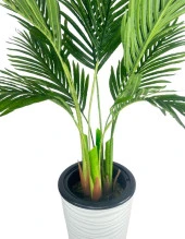 Nettenevime Yapay Areka Palmiye Ağacı Beyaz Kumsal Vazoda Yapay Ağaç 150cm 10 Yaprak thumbnail 4