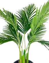 Nettenevime Yapay Areka Palmiye Ağacı Beyaz Kumsal Vazoda Yapay Ağaç 150cm 10 Yaprak thumbnail 7