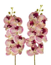 Nettenevime Yapay Çiçek Çilli Pembe Islak Orkide Gerçeksi Doku Uzun Dal 90 cm thumbnail 1