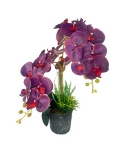 Nettenevime Yapay Çiçek 2li Mor Bordo Damarlı Islak Orkide Seramik Saksıda Orkide 60cm - 1