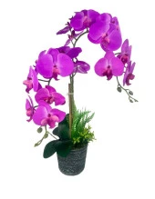 Nettenevime Yapay Çiçek 2li Fuşya Islak Orkide Seramik Saksıda Orkide 60cm thumbnail 1