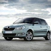 Skoda Fabia 2011-2014 Dizel Motor Üst Yağ Dolum Kapağı 06C103485P - 2