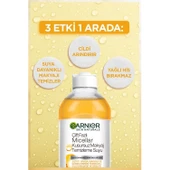 Garnier Çift Fazlı Micellar Kusursuz Temizleme Suyu 400 ml - 2