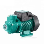 Taifu QB80 Preferik Su Pompası 1 Hp - 1