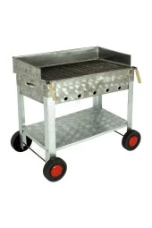 Maltız Izgaralı Pervazlı Krom Mangal (4 Tekerlekli) Mth-286 thumbnail 1