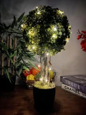 Nettenevime Led Işıklı Şimşir Top Yılbaşı Ağacı Tek Toplu 23cmx45cm Siyah Saksılı - 1