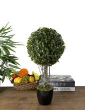 Nettenevime Led Işıklı Şimşir Top Yılbaşı Ağacı Tek Toplu 23cmx45cm Siyah Saksılı - 3