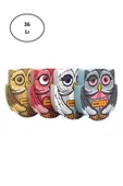 Silka Silgy Owl Serisi Silgi 36'lı - 1