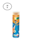 Bic Evolution Kuruboya Metal T24+1 12'li - 1