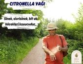 Citronella Uçucu Yağı 10 ml. %100 Saf - 3