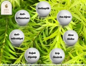 Çay Ağacı Uçucu Yağı 10 ml. %100 Saf - 4