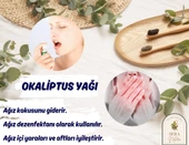 Okaliptus Uçucu Yağı 10 ml. %100 Saf - 3