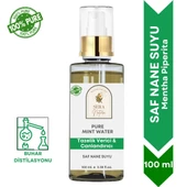 Saf Nane Suyu Tazelendirici & Canlandırıcı Cilt Toniği 100 ml. %100 Saf - 1