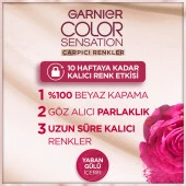 Garnier Çarpıcı Renkler 7.0 Bal Kumral thumbnail 2