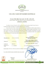 NUKA DEFNE ESENCİA Nuka Organik Ingiliz Nanesi Yağı 30 Ml Sprey Şişe - 2