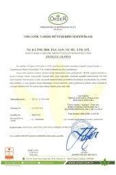 NUKA Argan Yağı Organik Soğuk Pres 1000 ml thumbnail 3