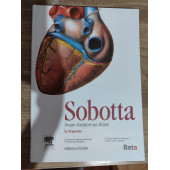 SABOTTA İnsan Anatomisi Atlası 3 CİLT  (İskelet Kas Sistemi, Baş Boyun ve Nöroanatomi , İç Organlar - 4