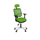 Türksit 817 File Çalışma Koltuğu Metalik Gri Boyalı Ayak Yeşil - 1