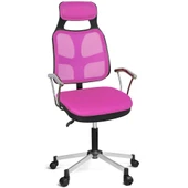 Türksit AS File Çalışma Koltuğu Metalik Gri Boyalı Ayak Pembe - 1