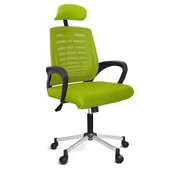 Türksit Karizma File Müdür Koltuğu Metalik Gri Boyalı Ayak Yeşil - 1