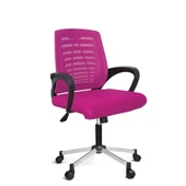 Türksit Karizma File Çalişma Koltuğu Metalik Gri Boyalı Ayak Pembe - 1