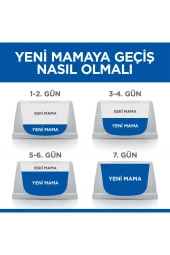 Hill's SCIENCE PLAN Healthy Development Tavuklu Kısırlaştırılmış Yavru Kedi Maması 3kg thumbnail 4