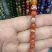 TURUNCU DAMARLI AKİK - 1